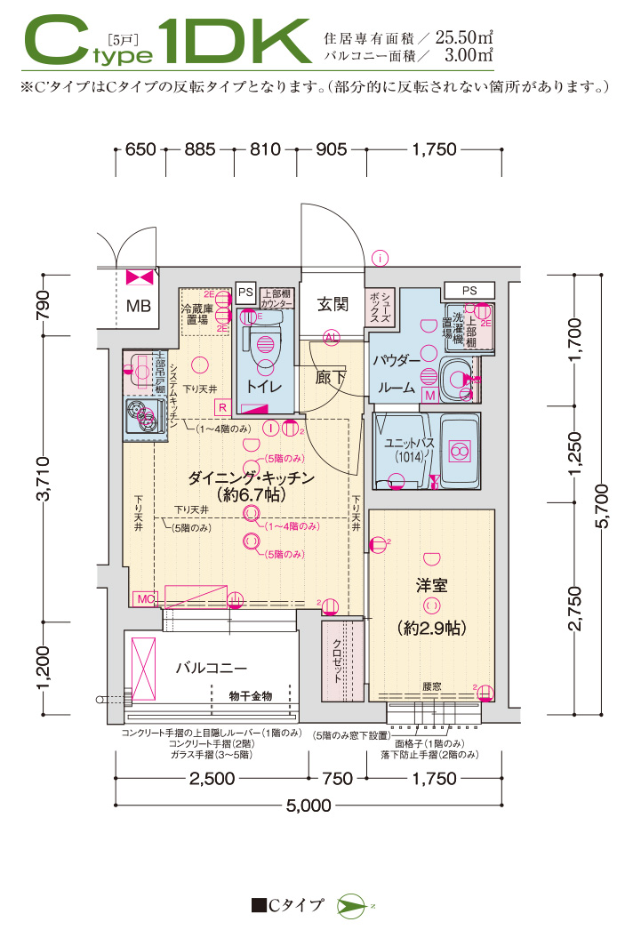 Cタイプ
